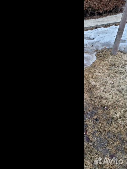 Садовый измельчитель бу