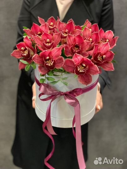 Орхидеи В Коробке с Доставкой