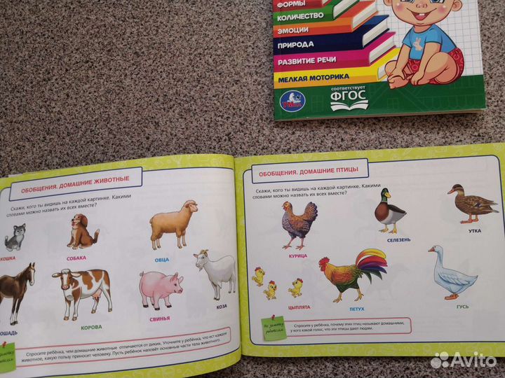 Новые развивающие книжки карточки пакетом Жукова