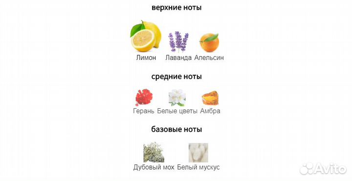 Mancera - Lemon Line