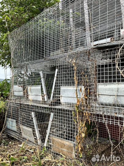 Клетка для животных