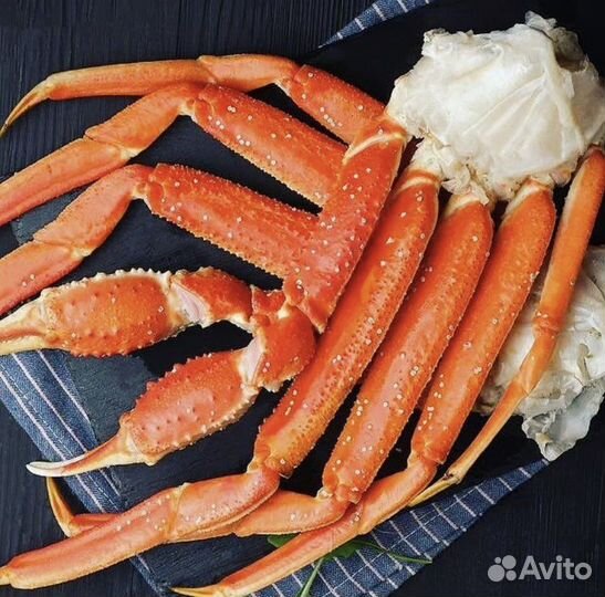 Морепродукты оптом и в розницу