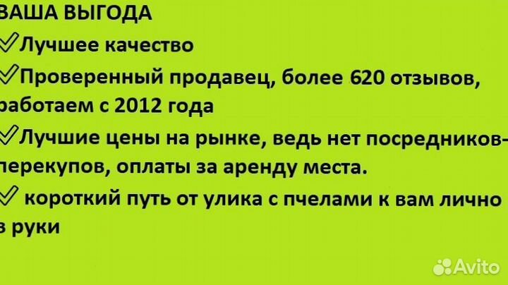 Мед подсолнечника для чая доставкой 0 рубл