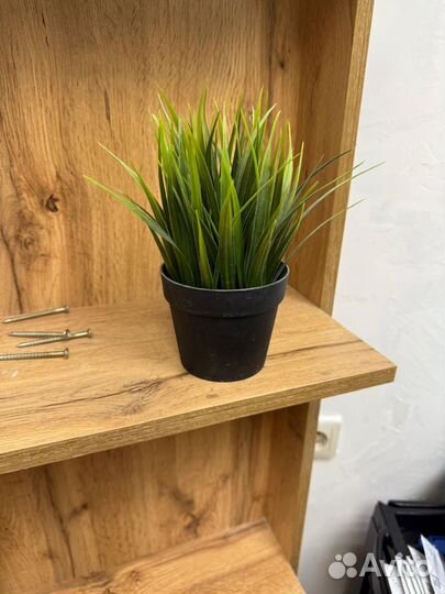 Декор, зелень икеа