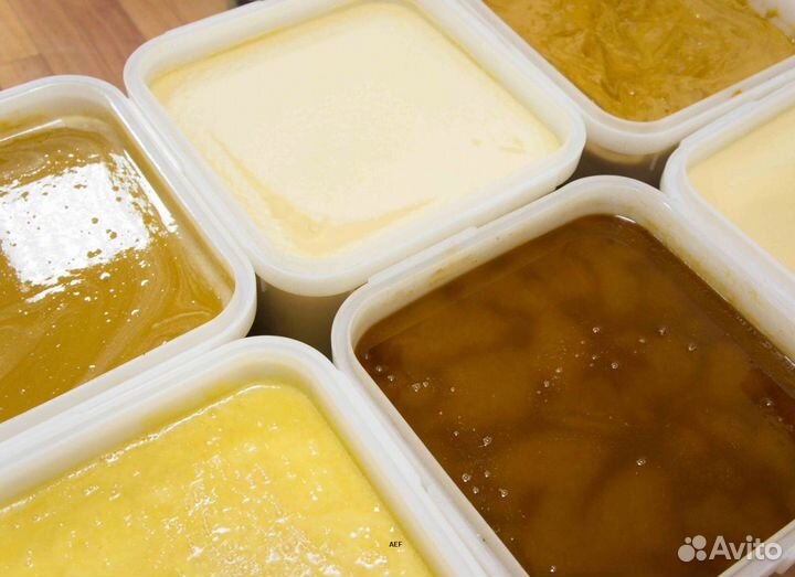 2024 Мед натуральный с Алтая оптом