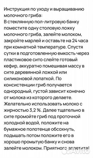 Гриб молочно-кефирный