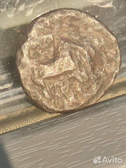 Монеты Херсонес, Истрия