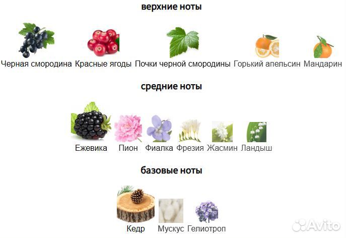 Gucci Eau de Parfum II Gucci