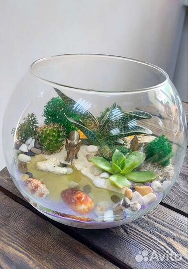 Флорариум с суккулентами 