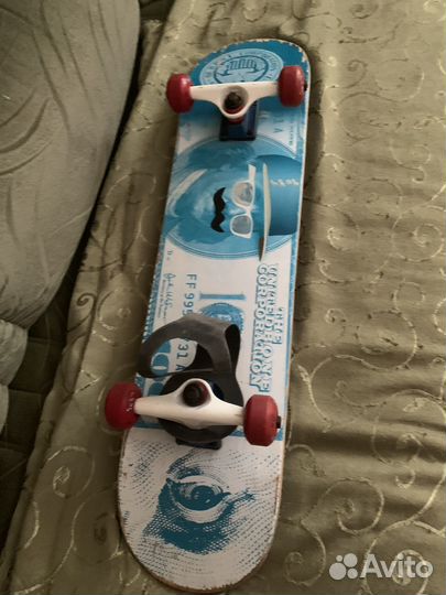 Скейтборд united