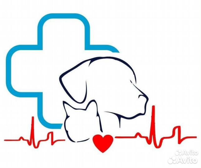 Ветеринарный врач на дом, онлайн консультация