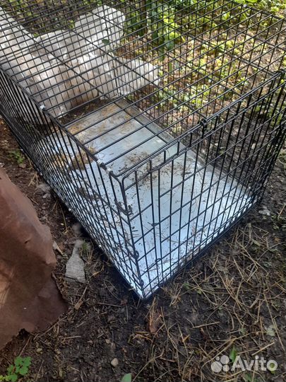 Клетка для собак
