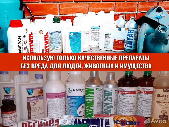 Уничтожение клопов тараканов / Дезинфекция