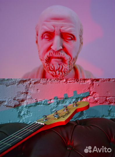 Художник, фотограф