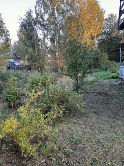 Дом 21,2 м² на участке 10 сот.