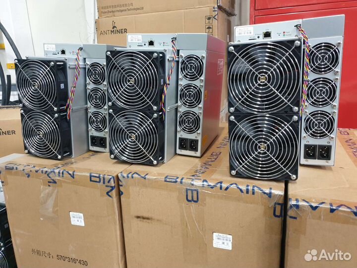 Настройка и обслуживание асиков