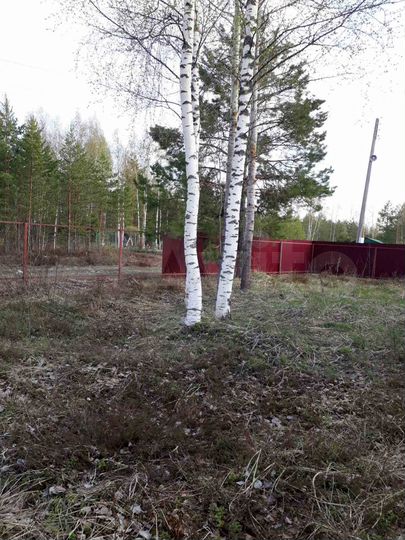 Участок 9,6 сот. (СНТ, ДНП)