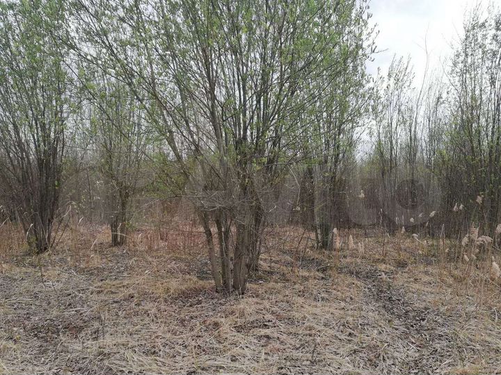 Участок 10 сот. (ИЖС)