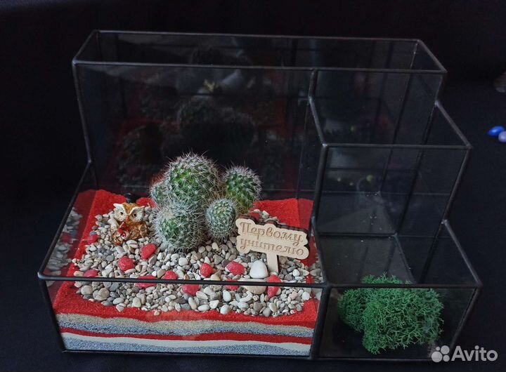 Флорариум Органайзер, подарок