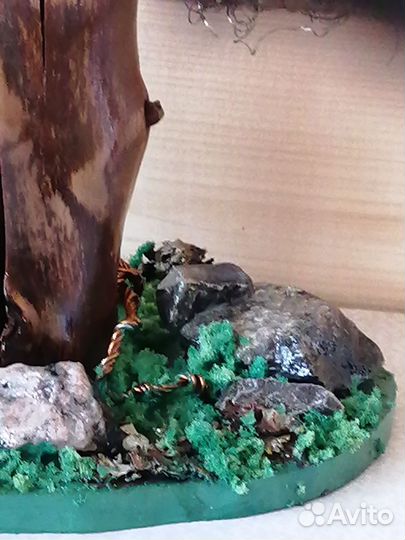 Дерево бонсай