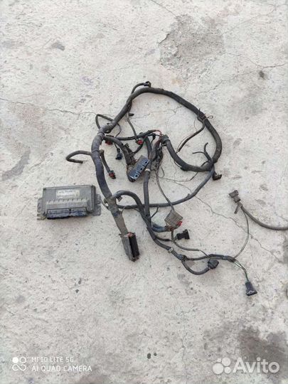 Эбу Микас 10.3