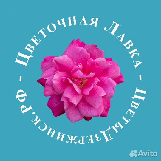 Ночной продавец флорист