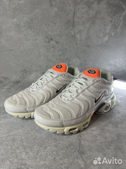 Кроссовки мужские Nike air max tn