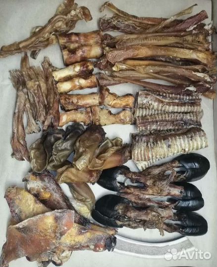 Корма для собак и кошек