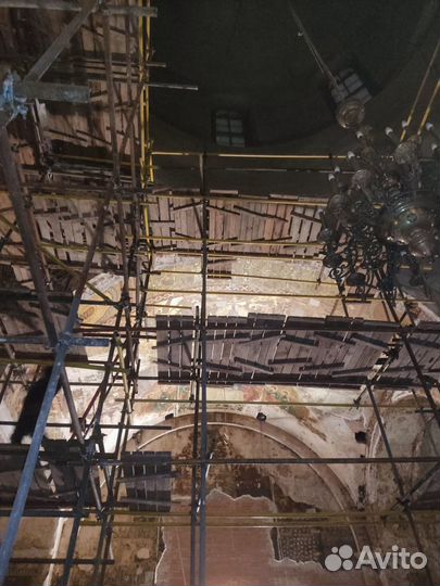 Хомутовые леса аренда