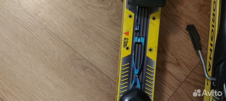 Горные лыжи