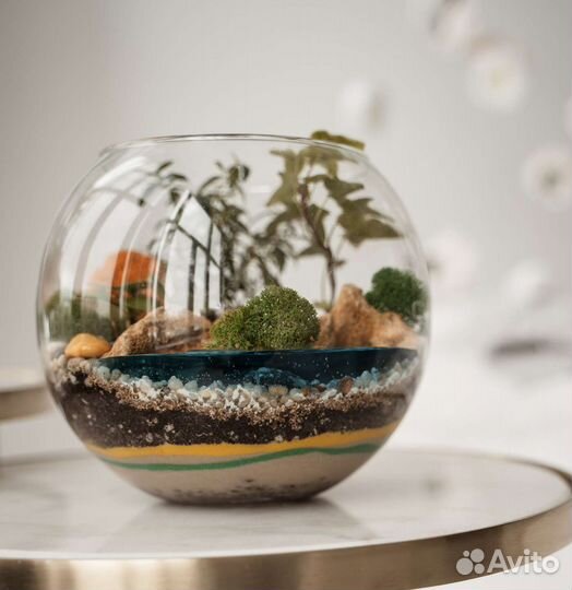 Флорариум с водоёмом