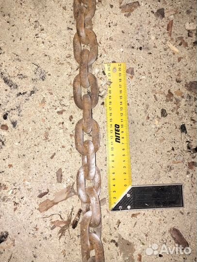 Цепной паук