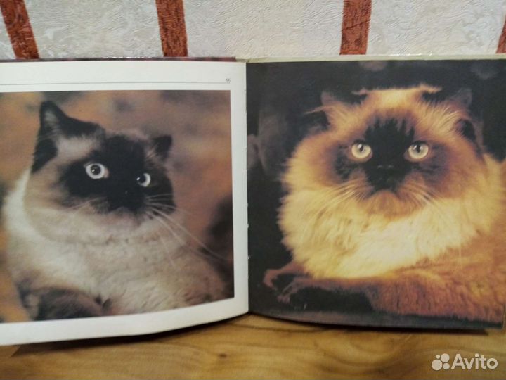 Книги о животных