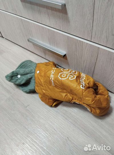 Собачья куртка