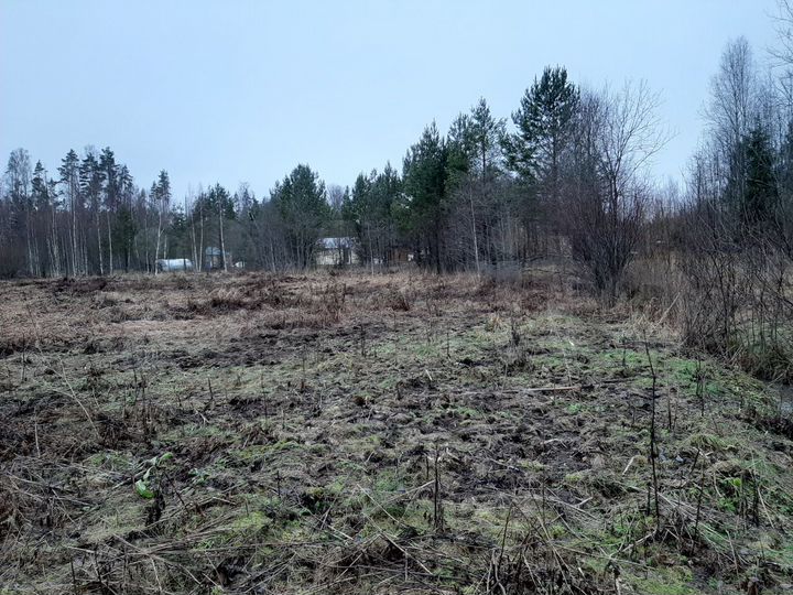 Участок 12 сот. (СНТ, ДНП)