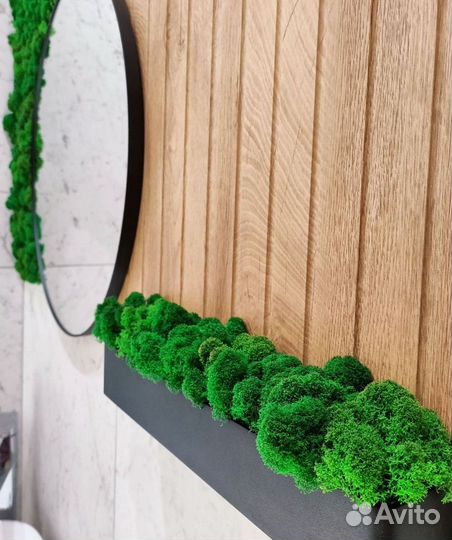 Мох стабилизированный. Картина