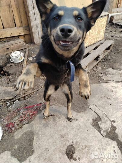 Подрощеная девочка