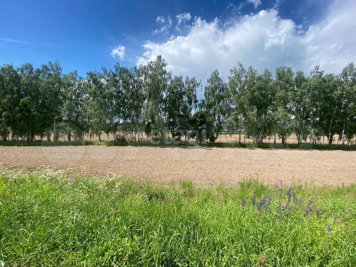 Участок 1,22 га (СНТ, ДНП)