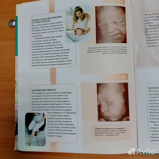 Книга для будущих родителей