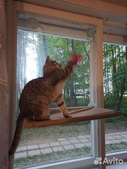 Гамак лежанка для кошек на окно