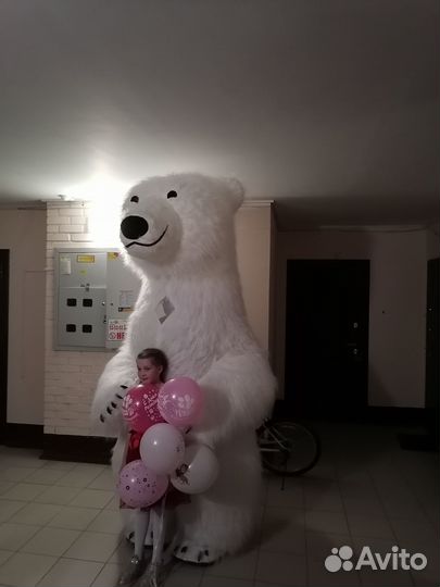 Белый мишка на поздравление