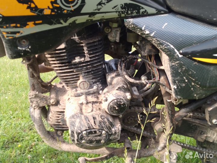 Рейсер 200 торг