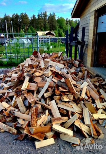 Дрова Береза