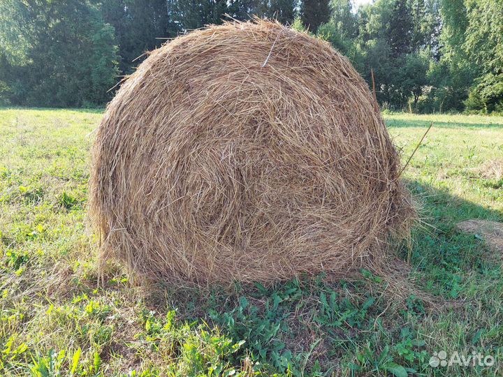 Сено в рулонах
