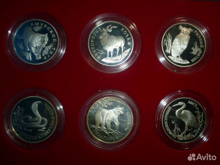 Монеты Серебро Красная Книга РФ Тигр Ёж Бобр Филин