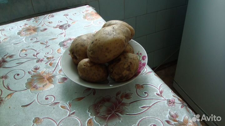 Продам картофель