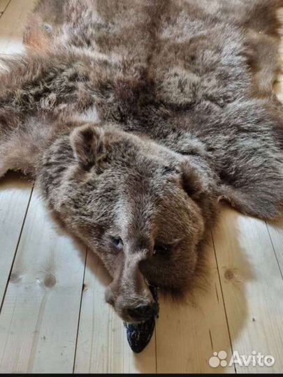 Шкура медведя имитация
