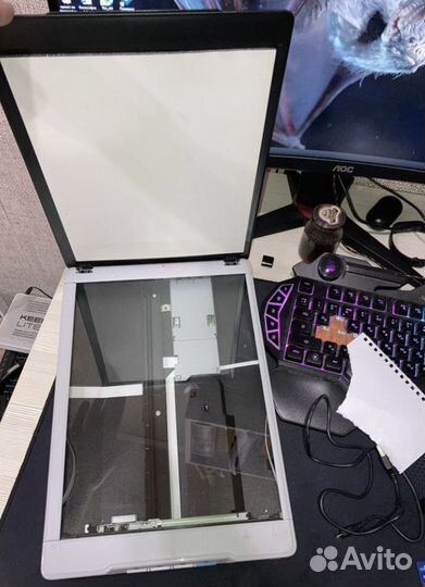 Сканер Epson Perfection v19