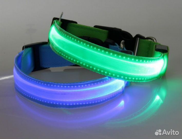 Ошейник для животных