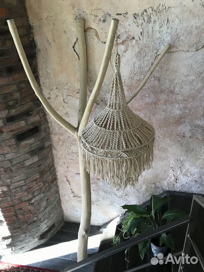 Дерево интерьерное